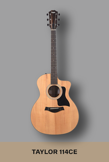TAYLOR-114CE